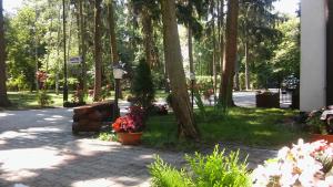 Zahrada ubytování Hotel Kakadu
