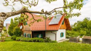 Ogród w obiekcie Ferienhaus Höllberg