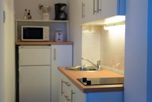 Kuchyň nebo kuchyňský kout v ubytování Apartments Rose