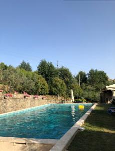 a swimming pool with blue water in a yard at Agriturismo La Casella in Castelfranco di Sopra