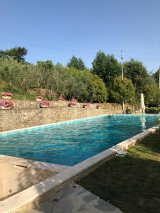 a large swimming pool with blue water at Agriturismo La Casella in Castelfranco di Sopra