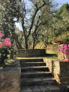 um conjunto de escadas de pedra num parque com flores cor-de-rosa em Agriturismo La Casella em Castelfranco di Sopra