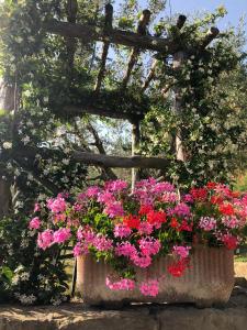 a flower pot filled with pink and red flowers at Agriturismo La Casella in Castelfranco di Sopra