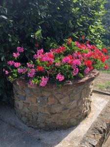 a stone flower pot filled with pink and red flowers at Agriturismo La Casella in Castelfranco di Sopra