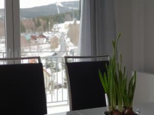 Výhľad na hory alebo výhľad na hory priamo z apartmánu