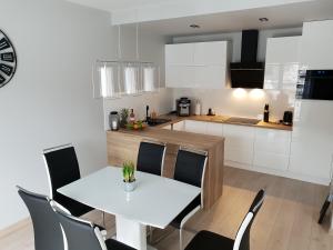 Kuchyňa alebo kuchynka v ubytovaní Vera Apartment Świeradów-Zdrój Zakopiańska 22 C m10