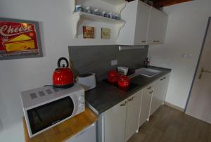 a kitchen with a microwave on top of a counter at Chalupa Pohoda Demänová in Liptovský Mikuláš – Demänová