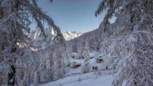 Alpin D'Hôme Hôtel & Spa v zimě