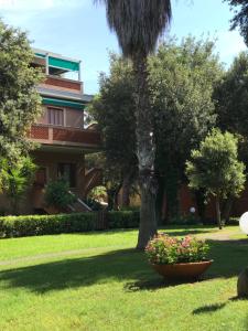 Ảnh trong thư viện ảnh của casalmare ở San Vincenzo +21 ảnh