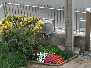 A garden outside Modern apartment halfway between Milan and Como