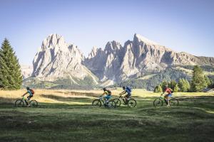 Hosté ubytování Adler Spa Resort Dolomiti