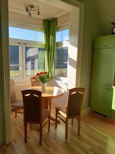 a kitchen with a table and chairs and a green refrigerator at Ferienwohnung Elbsommer am Weinberg in Meißen +9 photos