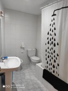 オンティニェントにあるDúplex en Carrer de Sant Jaumeのバスルーム(トイレ、洗面台、シャワーカーテン付)