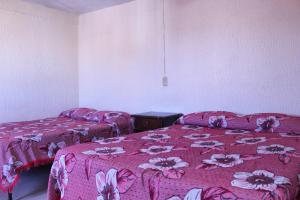 Postel nebo postele na pokoji v ubytování Hotel Plaza Aleman