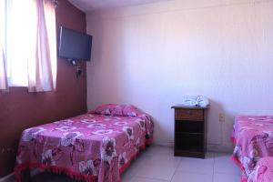 Postel nebo postele na pokoji v ubytování Hotel Plaza Aleman