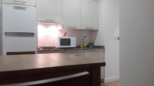 cocina con encimera y microondas en Apartamentos Turísticos Los Picos, en Liérganes