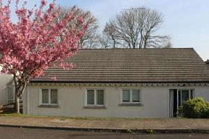 a house with a flowering tree in front of it at Sunny Bungalow in Courtown