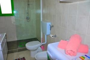 a bathroom with a toilet and a pink towel at Cateresa Apartament in Santa Maria