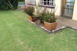 two potted plants in a yard next to a house at Clarens Socialites Garden Apartment #2 in Bethlehem