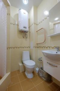 a bathroom with a toilet and a sink at ОК! Советская, 60 №1 in Tomsk