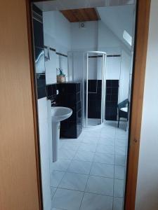 a bathroom with a sink and a toilet at Apartmány pod Hradem in Holštejn +35 photos
