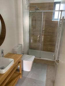 La salle de bains est pourvue d'une douche, de toilettes et d'un lavabo. dans l'établissement Apartamentos La Bicicleta, à Puente Viesgo