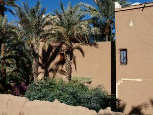 a building with palm trees in front of a building at Dar Nekhla in Zagora