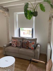 a living room with a couch and a plant at Apartamentos La Bicicleta in Puente Viesgo