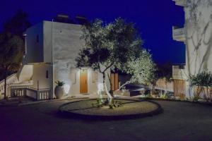 a tree in a circle in front of a building at Kanso Rooms in Galatás