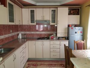 Köök või kööginurk majutusasutuses Guesthouse Tomasevic