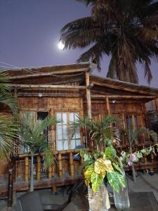 a wooden house with palm trees in front of it at Cabañas Oasis de San Pablo in San Pablo