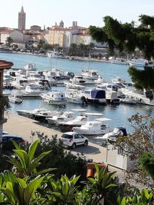 a bunch of boats are docked in a harbor at Apartments Rožić in Rab