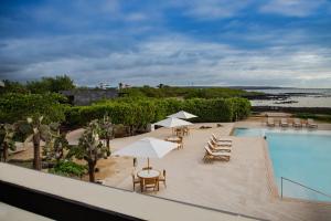 vistas a una piscina con sillas y sombrillas en Finch Bay Galapagos Hotel, en Puerto Ayora