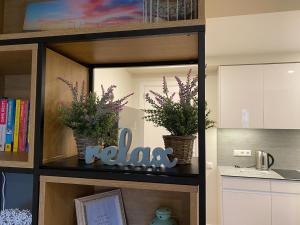 uma prateleira com dois vasos de plantas numa cozinha em Lavender Home em Juodkrantė