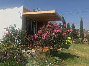 a house with pink flowers in the yard at La Casita de Laura in Bolonia