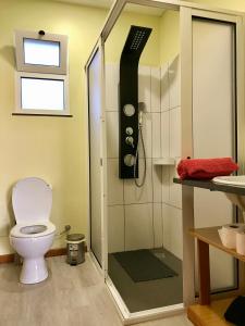 a bathroom with a shower and a toilet in it at Casa da Relva com Piscina Aquecida Interna in Arco da Calheta