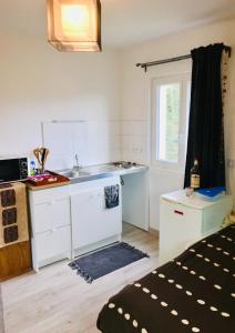 a small kitchen with a sink and a counter at Refuge des voyageurs in Plouédern +4 photos