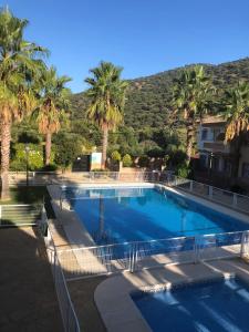 a large swimming pool with palm trees and a building at Casa Rural las Rosas de Benaojan in Benaoján