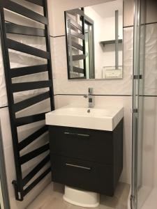 ein Bad mit einem Waschbecken und einem Spiegel in der Unterkunft Charmant appartement 2 pièces - 4 personnes in Châtel