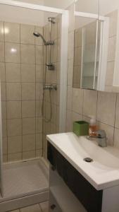 W łazience znajduje się umywalka oraz prysznic z lustrem. w obiekcie F3 lumineux & cosy au centre de Mulhouse w Miluzie
