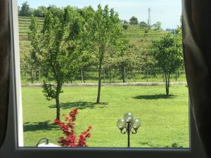 a window with a view of a field with trees at Appartamento "Casa Vacanze Corte Ara Decima" in Sona