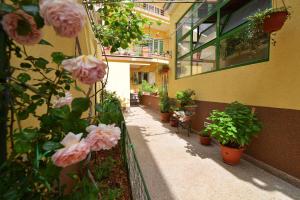 Vonkajšia záhrada v ubytovaní Sibenik Modern Apartment