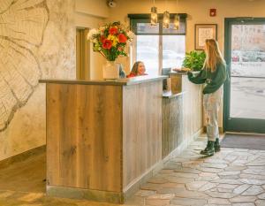 Hosté ubytování Aspenalt Lodge
