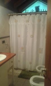 a bathroom with a white shower curtain and a toilet at Cabaña Milla Antü, Villa la angostura in Villa La Angostura