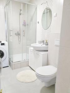 a bathroom with a toilet and a sink and a shower at Dimitra apartman in Šabac +9 photos