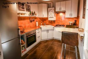 Kuchyň nebo kuchyňský kout v ubytování City Apartment Vienna