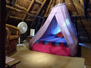 a hammock bed in a room with a fan at Casitas Kinsol in Puerto Morelos