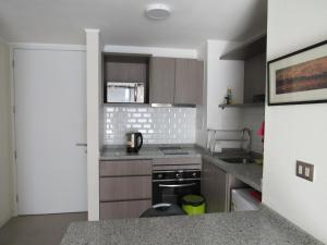 聖地亞哥的住宿－Birdhouse Apartment，厨房配有水槽和炉灶 顶部烤箱