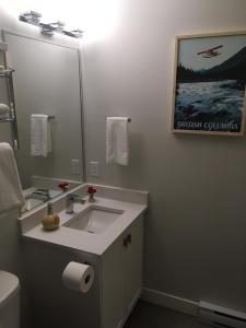 a bathroom with a sink and a mirror at Mollys Cottage-The Suite on Vancouver Island near YYJ Airport and the WA and BC Ferries in North Saanich