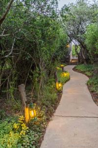 Safari Lodge - Amakhala Game Reserve外面的花园